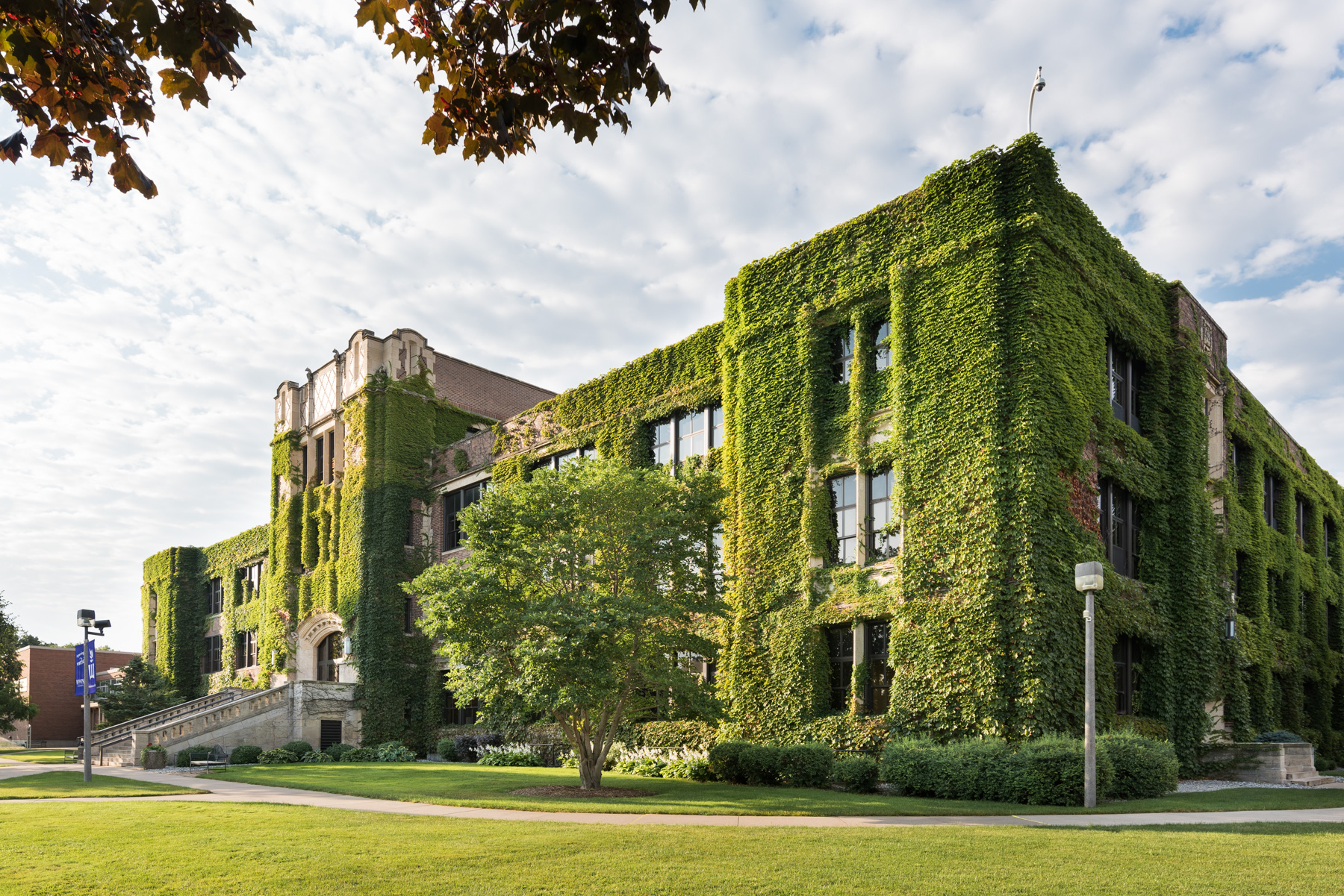 A picture of a college building covered in green ivy. The building is reminescent of gothic architecture, with a brick exterior and many windows.