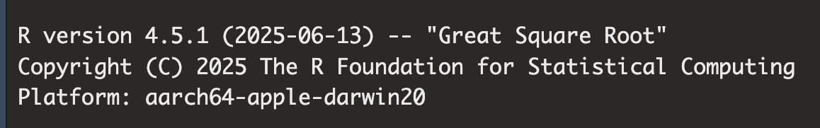 A screenshot of what version of R should appear when you open RStudio. The version reads 'R version 4.5.1 (2025-06-13) -- 'Great Square Root'.