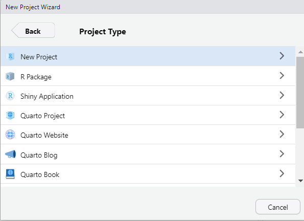 A screenshot of the popup that appears when you select the New Directory option from the New Project popup wizard. The 'New Project' option is highlighted in blue, indicating this is the option that should be selected.