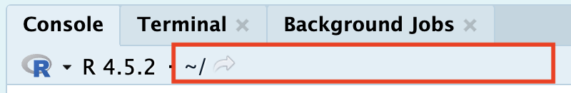 A screenshot of the Console at the bottom of the left hand pane in RStudio. There is a red box outlining the current working directory for R, which is the location where R will look for files. In the highlighted image, the working directory starts at the 'Home' directory for a Mac which is equivalent to the C Drive for Windows.