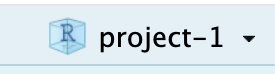 A screenshot of the blue cube that can be seen in the upper right hand corner of RStudio when a project is open. The title next to the blue cube reads 'project-1', indicating the name of the project that is currently open.