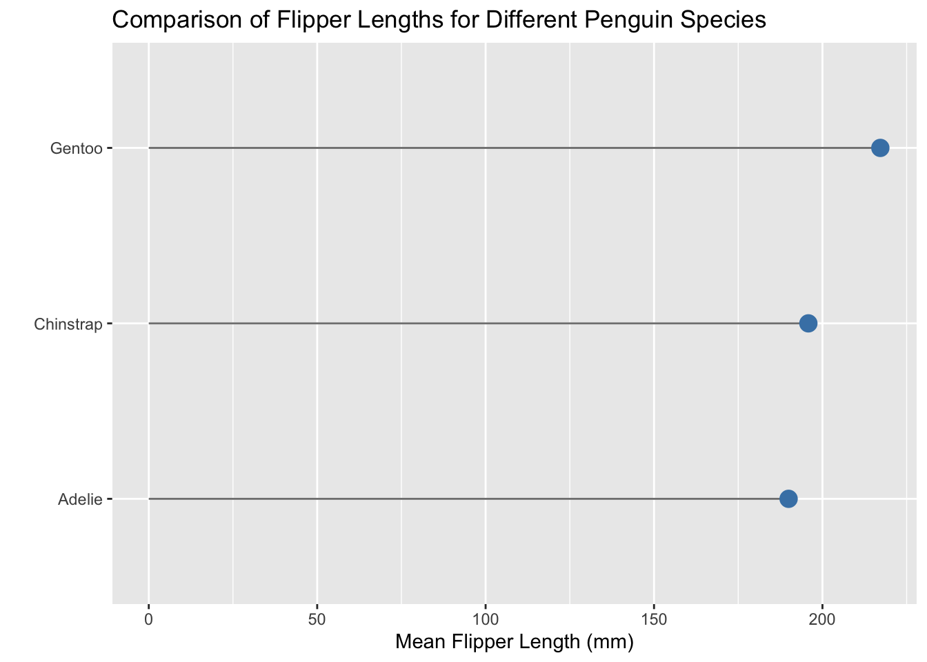 Lollipop chart titled ‘Comparison of Flipper Lengths for Different Penguin Species’. The x-axis shows mean flipper length in millimeters, and the y-axis lists three species: Adelie, Chinstrap, and Gentoo.Each species has a horizontal line extending from zero to a dot marking its mean flipper length. Adelie is just under 200 mm, Chinstrap is around 195 mm, and Gentoo is the highest at just over 215 mm. The chart highlights that Gentoo penguins have the longest average flipper length, followed by Chinstrap, then Adelie.