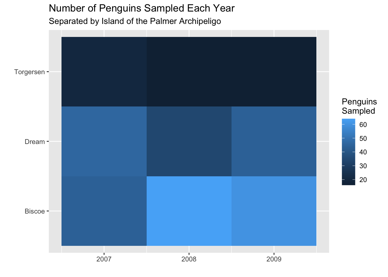 Heatmap titled ‘Number of Penguins Sampled Each Year’ with the subtitle ‘Separated by Island of the Palmer Archipelago’. The x-axis shows years 2007, 2008, and 2009, and the y-axis lists three islands: Torgersen, Dream, and Biscoe. Each cell is shaded from dark to light blue to indicate the number of penguins sampled, with lighter shades representing higher counts. Biscoe has the highest counts overall (especially in 2008), Dream has moderate counts across all years, and Torgersen has the lowest counts. The heatmap highlights differences in sampling intensity by island and year.