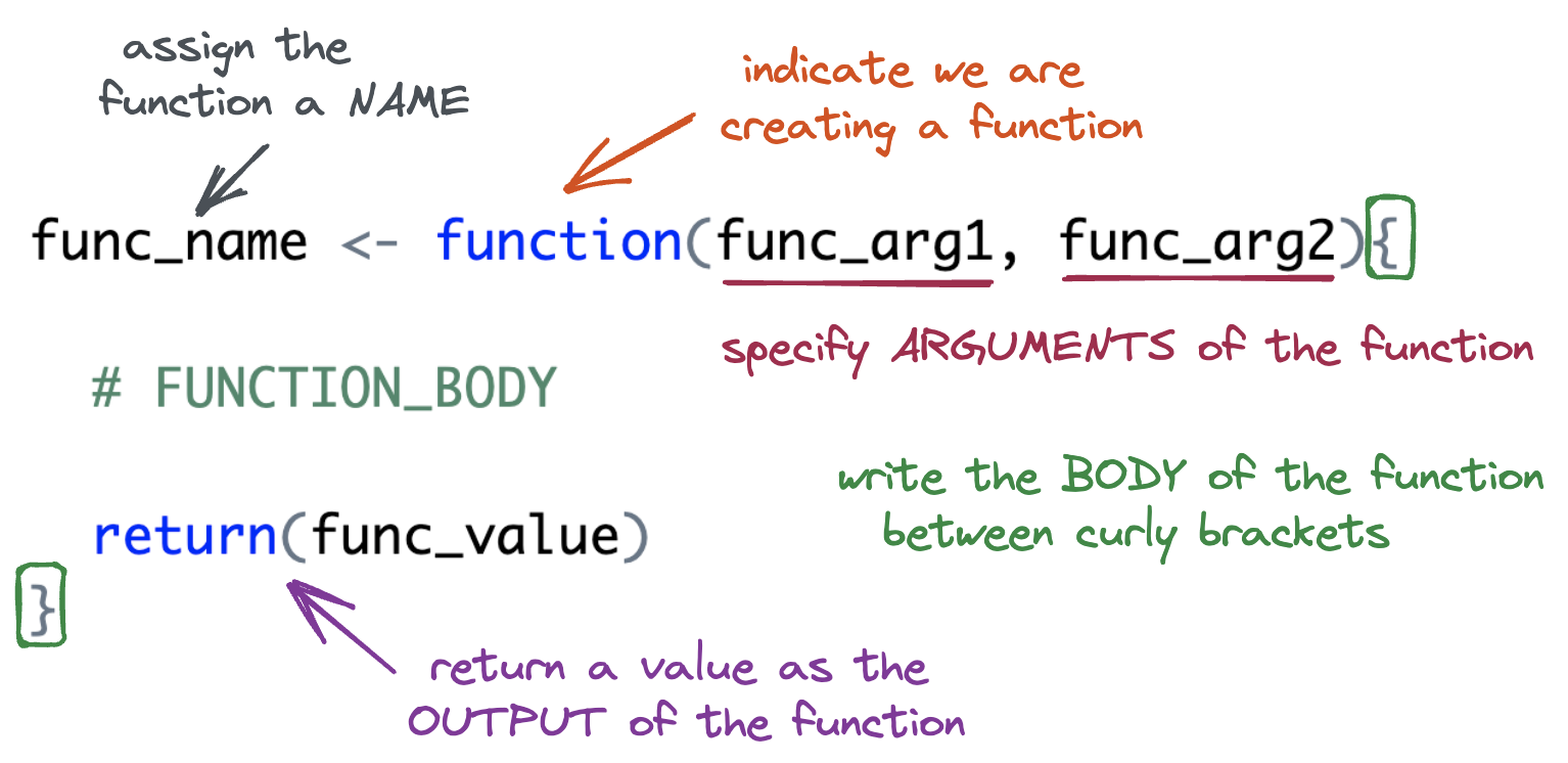 Illustration of R function syntax. The image explains the parts of a function in R using labeled arrows and colors. At the top, the name 'func_name' is assigned using '<-' to a function. An arrow points to 'func_name' with the label 'assign the function a NAME.' The keyword 'function' is highlighted, with an arrow labeled 'indicate we are creating a function.' The parentheses contain 'func_arg1, func_arg2,' which are labeled as 'specify ARGUMENTS of the function.' The body of the function is placed between curly brackets and labeled 'write the BODY of the function between curly brackets.' Finally, the 'return(func_value)' statement is labeled 'return a value as the OUTPUT of the function.