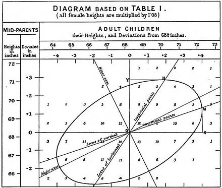 A image taken from one of Galton's papers on correlation. The image displays a table of numbers and a diagram of computing relationships between these numbers.
