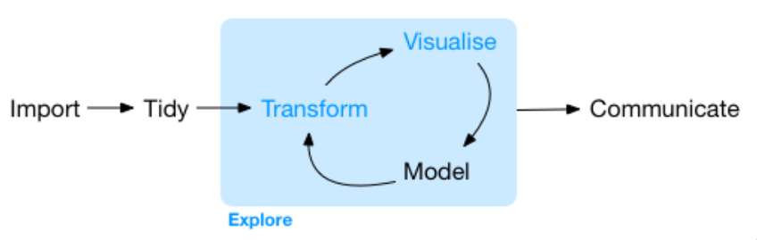 A figure of the 'data science cycle', with six different stages. The process starts with 'Import' (importing a dataset), then moves to 'Tidy' (tidying the dataset you imported). From there, the diagram has a blue box labeled the 'Explore' cycle, which includes the 'Transform', 'Visualize,' and 'Model' stages. These stages are connected in a circle with arrows between each stage, implying that these stages are a cycle which one can repeat. After the 'Explore' cycle, there in one additional stage labeled 'Communicate,' representing how you communicate the results of your analysis.