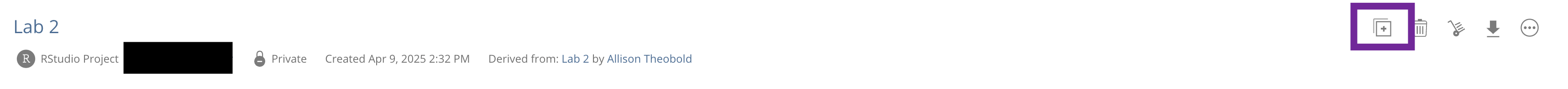 A screenshot of a group's Lab 2 project in their group workspace. There is a purple box around an icon with two boxes that has a 'plus' (+) symbol in the middle.