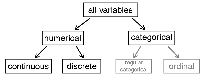 A tree diagram of the variables we will analyze in this class. The top node says 'all variables'. This top node has two branches, one that leads to 'numerical' and one that leads to 'categorical', representing the two classes of variables we will analyze. From the numerical variable node, there are two additional branches, one that says 'continuous' and one that says 'dicrete', representing the two types of numerical varaibles we will consider. Lastly, from the 'categorical' variable node, there are two branches, one saying 'regular categorical' and one saying 'ordinal', each representing the two classes of categorical variables we will consider.