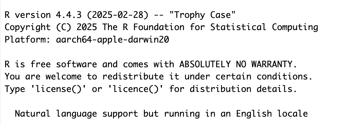 A screenshot of what version of R should appear when you open RStudio. The version reads 'R version 4.4.1 (2024-06-14) -- 'Race for Your Life'.